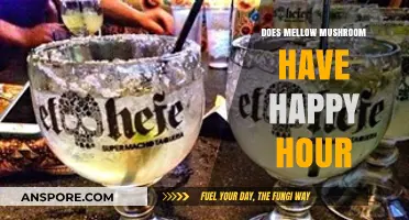 Happy Hour at Mellow Mushroom: What's the Deal?
