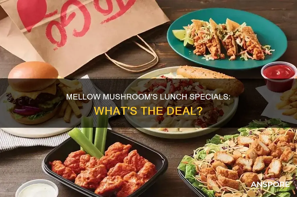 does mellow mushroom have lunch specials