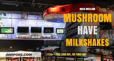 Mellow Mushroom's Milkshakes: What You Need to Know