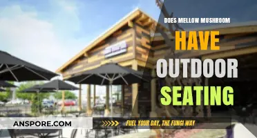 Mellow Mushroom's Outdoor Seating: A Relaxing Experience