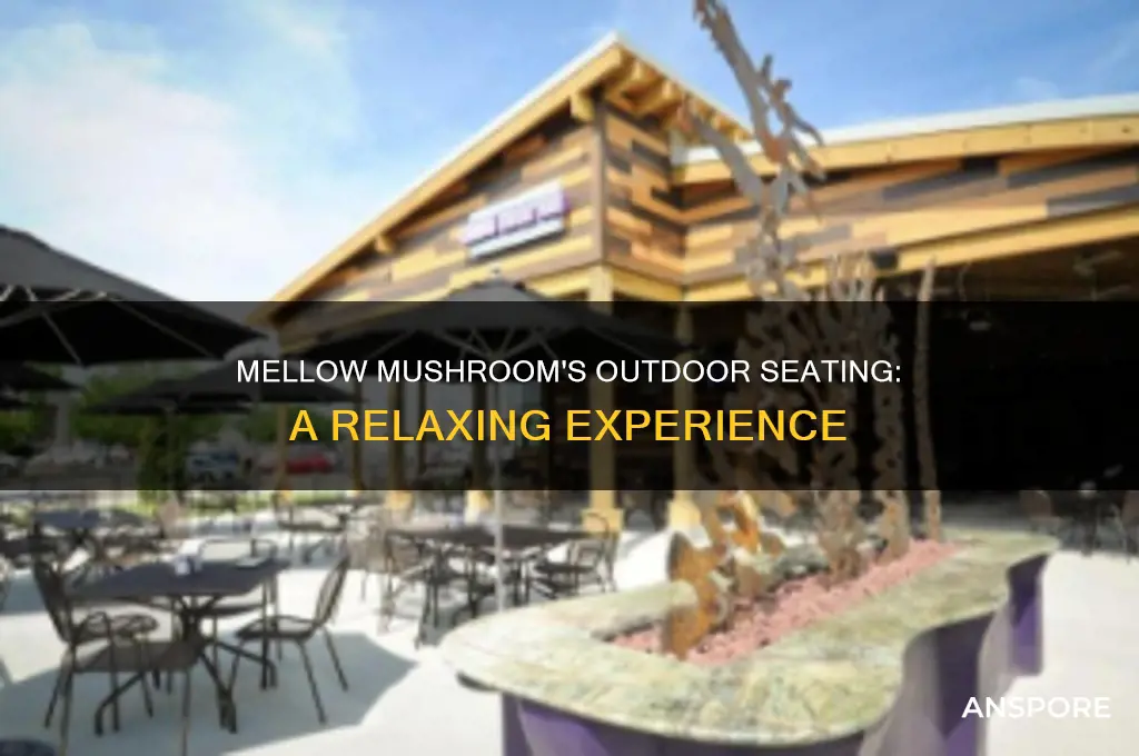 does mellow mushroom have outdoor seating