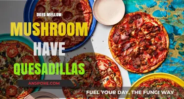 Mellow Mushroom's Quesadilla Offerings: What's Available?