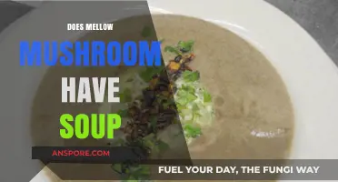 Does Mellow Mushroom Serve Soup? Exploring Their Menu Options