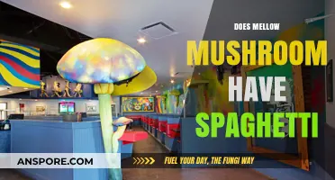 Mellow Mushroom's Menu Mystery: Spaghetti or Not?