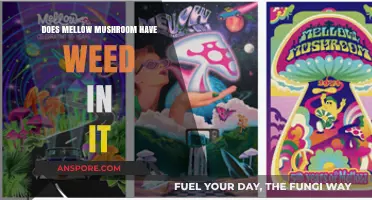 Mellow Mushroom: Stoner Culture and Weed Influence