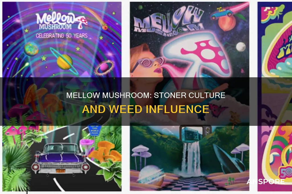 does mellow mushroom have weed in it