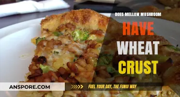 Mellow Mushroom's Wheat Crust: All You Need to Know