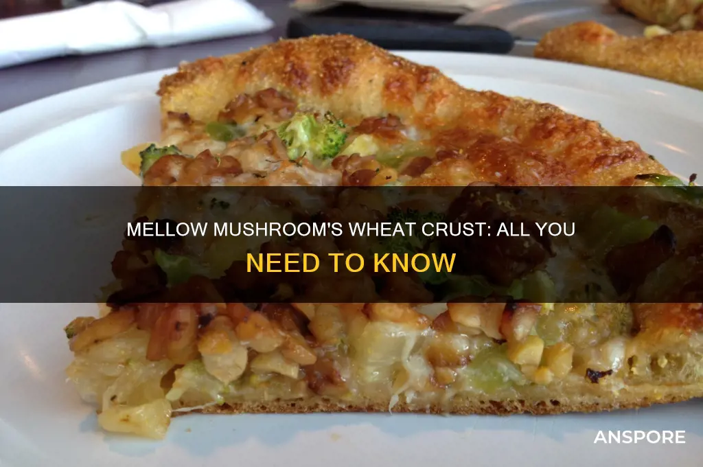 does mellow mushroom have wheat crust
