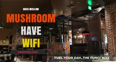 Mellow Mushroom's WiFi: Is It Any Good?