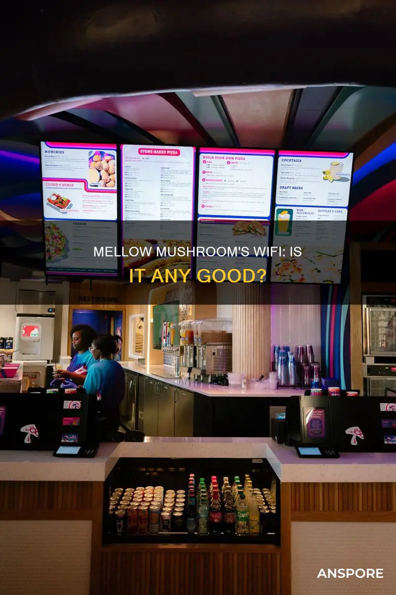 does mellow mushroom have wifi