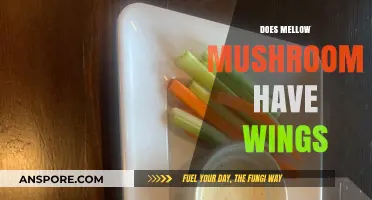 Mellow Mushroom's Menu: Do They Serve Wings?