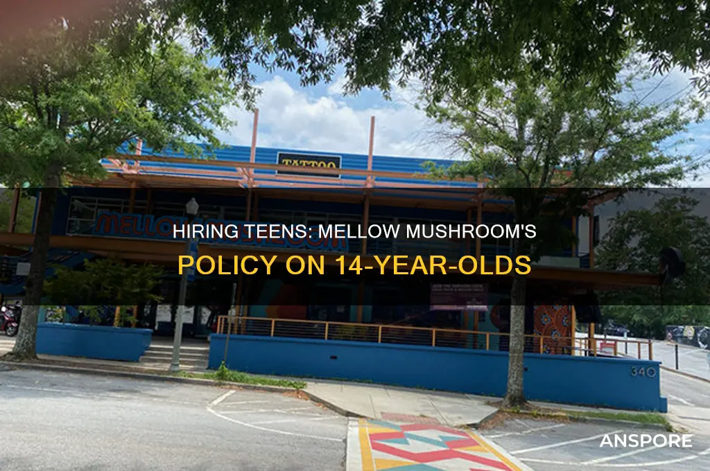 does mellow mushroom hire at 14