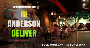 Mellow Mushroom Delivery Options in Anderson