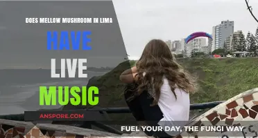 Mellow Mushroom Lima: Live Music or Not?