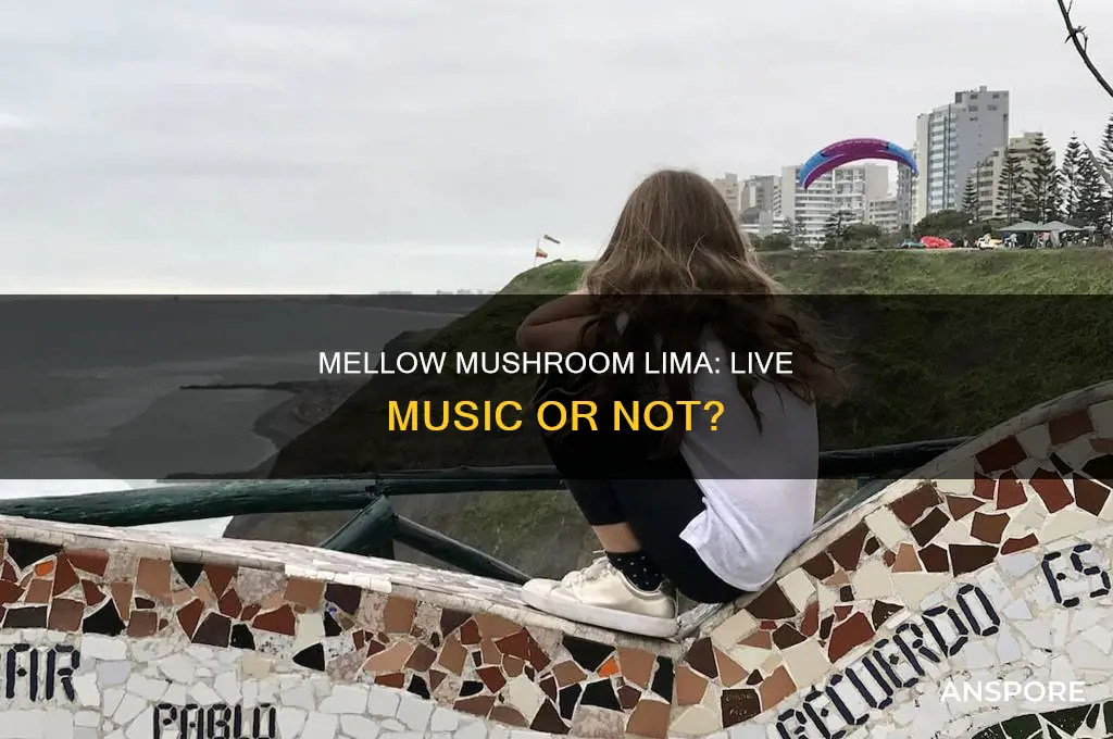 does mellow mushroom in lima have live music