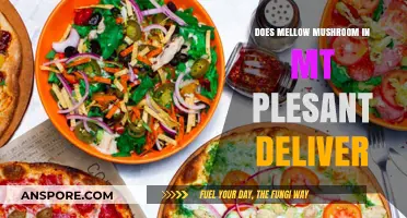 Mellow Mushroom Delivery: Mt Pleasant Service?