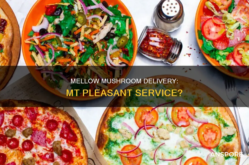 does mellow mushroom in mt plesant deliver
