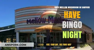 Mellow Mushroom Sanford: Bingo Night Fun