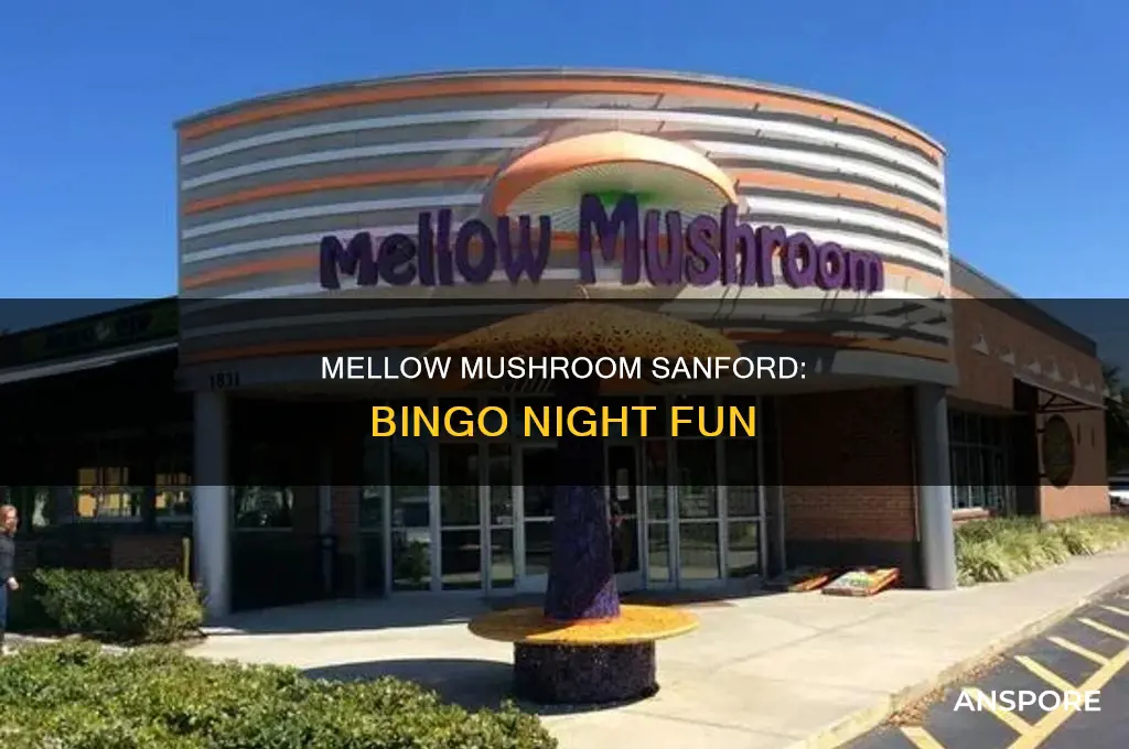 does mellow mushroom in sanford have bingo night