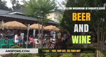 Mellow Mushroom Sarasota: Beer, Wine, and Pizza