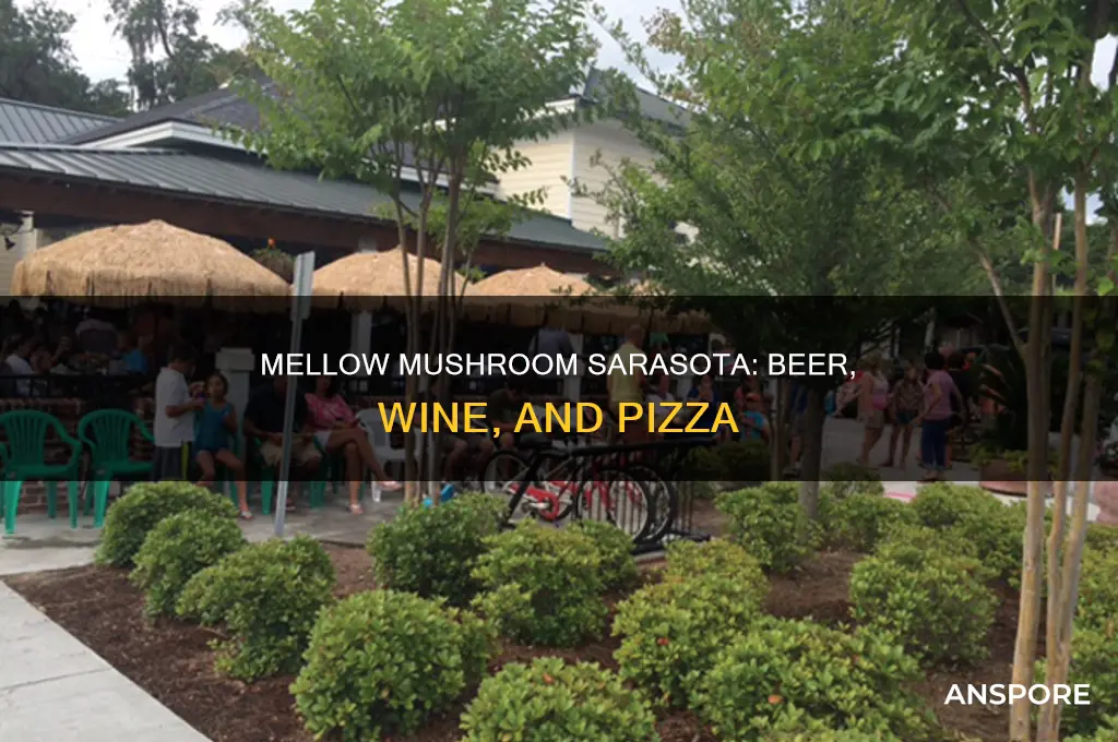 does mellow mushroom in sarasota serve beer and wine