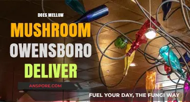 Mellow Mushroom Owensboro: Do They Deliver?