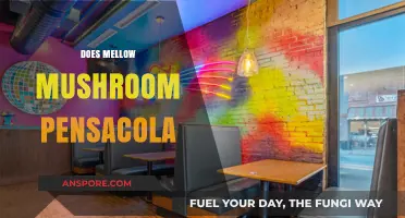 Mellow Mushroom Pensacola: A Fun Dining Experience