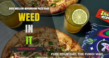 Mellow Mushroom Pizza: Does It Contain Weed?