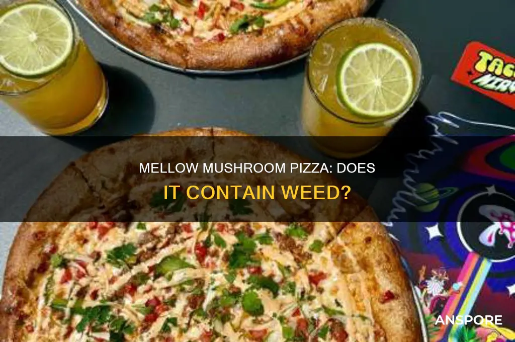 does mellow mushroom pizza have weed in it