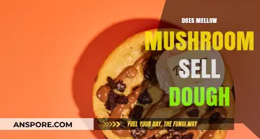 Mellow Mushroom's Dough: Buy or Bake?