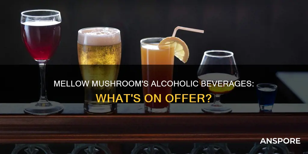 does mellow mushroom serve alcohol