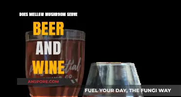 Mellow Mushroom's Beer and Wine Offerings