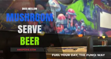 Mellow Mushroom Beer Options: What's on Tap?