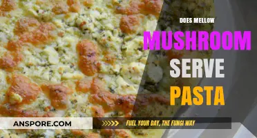 Mellow Mushroom's Menu Mystery: Do They Serve Pasta?