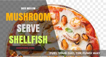 Mellow Mushroom's Shellfish Offerings: What You Need to Know