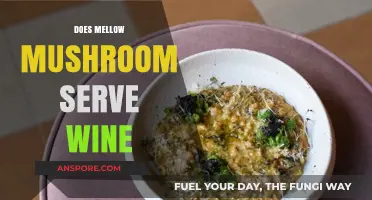Mellow Mushroom's Wine Offerings: A Perfect Pairing?