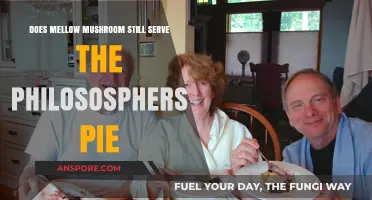 Mellow Mushroom's Philosophers Pie: Still on the Menu?