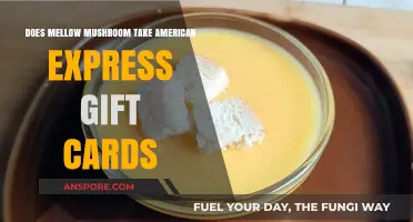 Mellow Mushroom Gift Cards: American Express Accepted?