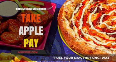 Does Mellow Mushroom Accept Apple Pay? Payment Options Explained