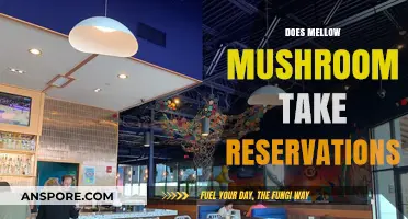 Mellow Mushroom Reservations: Can You Book Ahead?