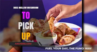 Mellow Mushroom: Does It Deliver?