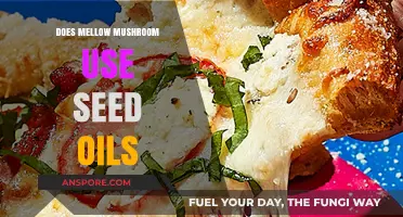 Does Mellow Mushroom Use Seed Oils in Their Pizza Recipes?