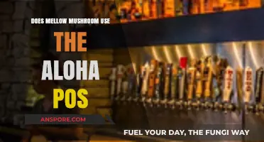 Does Mellow Mushroom Use Aloha POS? Exploring Their System