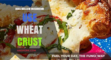 Does Mellow Mushroom Offer Wheat Crust? A Pizza Lover's Guide