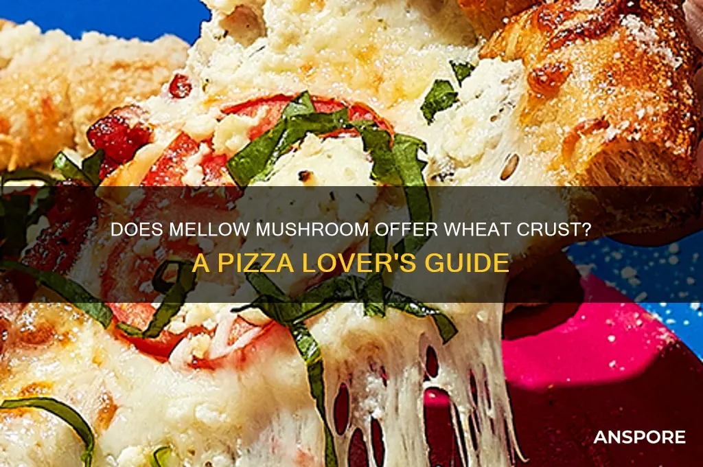 does mellow mushroom use wheat crust