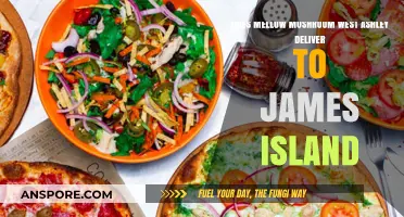Mellow Mushroom Delivery Zones: West Ashley to James Island