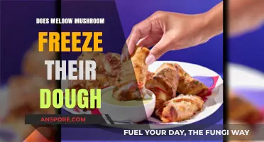 How Does Mellow Mushroom Prepare Their Dough?