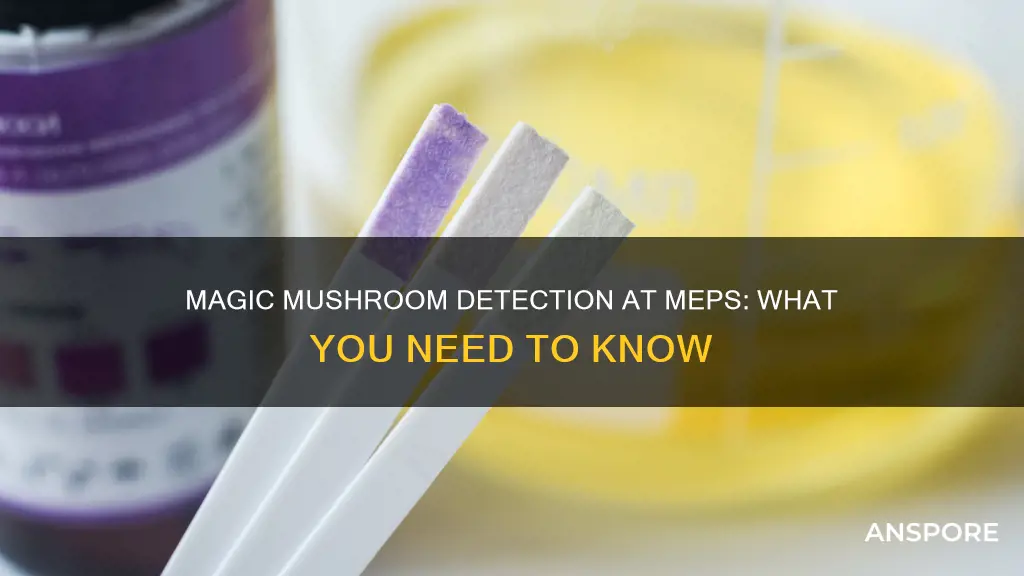 does meps test for mushrooms