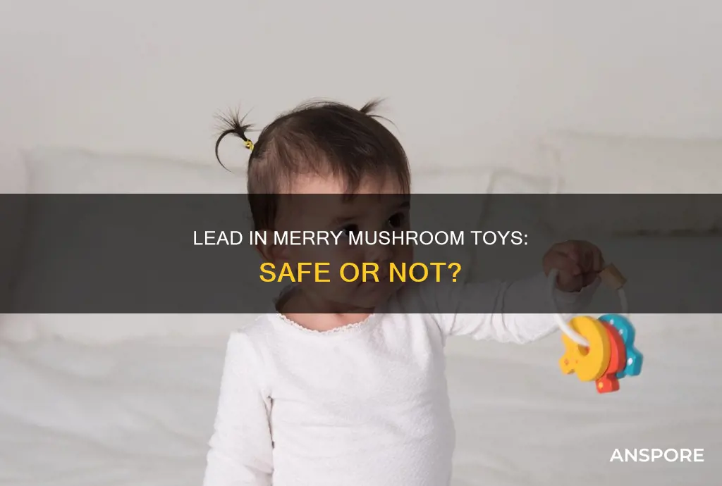 does merry mushroom contain lead