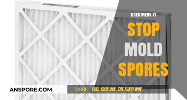 Can MERV 11 Filters Effectively Block Mold Spores in Your Home?